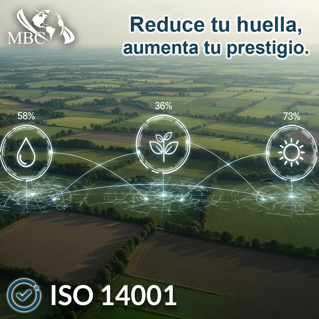 Empresa certificada ISO 14001 - Sostenibilidad