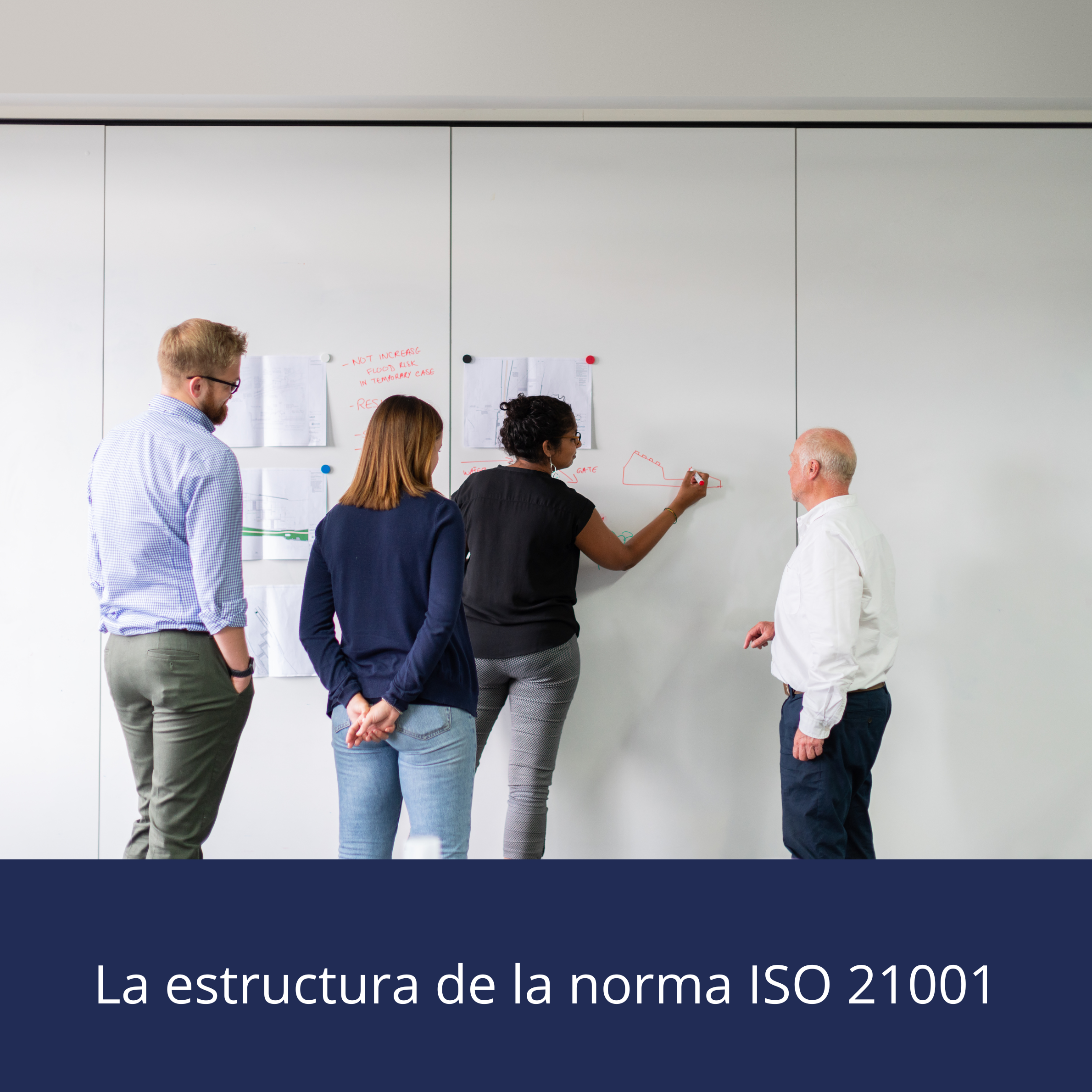 La estructura de la norma ISO 21001