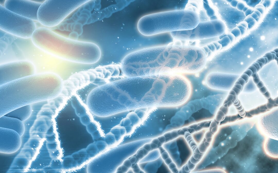 BROTE DE E. COLI ASOCIADO A ZANAHORIAS ORGÁNICAS