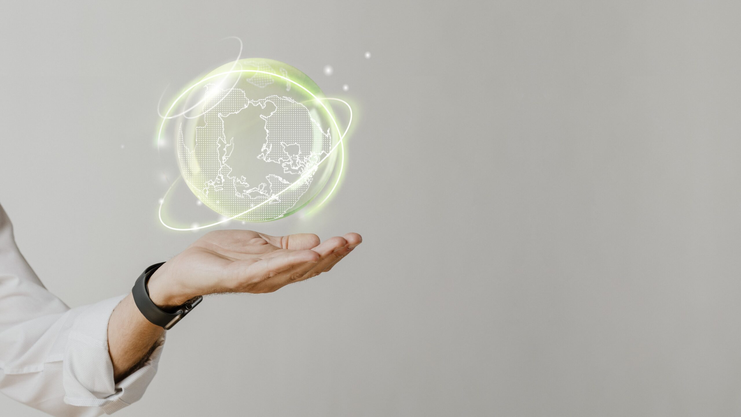 GESTION AMBIENTAL INTELIGENTE: RIESGO ECOLÓGICO EN VENTAJA COMPETITIVA 14001