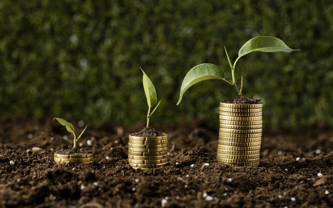 SOLUCIÓNAMBIENTALEFECTIVA: CUMPLIR, AHORRAR Y CRECER ISO 14001