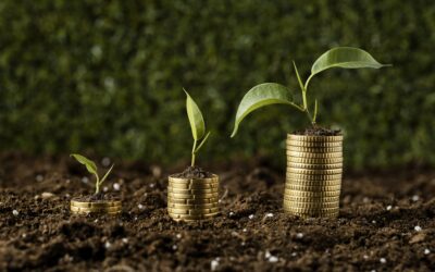 SOLUCIÓNAMBIENTALEFECTIVA: CUMPLIR, AHORRAR Y CRECER ISO 14001